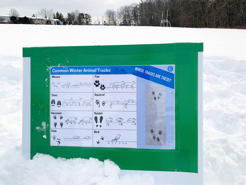 An educational sign with animal tracks sitting in the snow